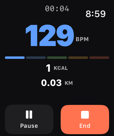 KineticPacer Apple Watch summary screen